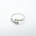 Silver Pathways Open RIng